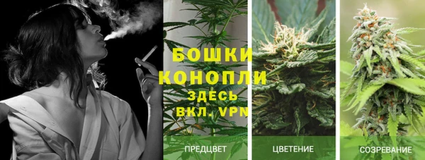 PSILOCYBIN Нефтекумск