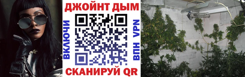 где продают наркотики Сорск Конопля Bruce Banner